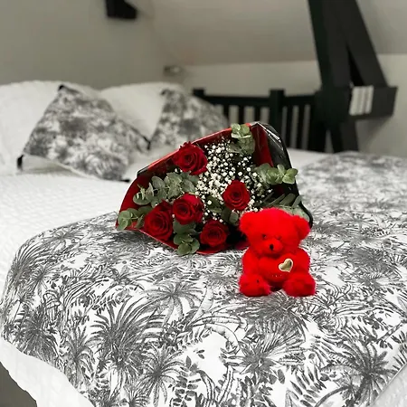 House - Maison Entiere Et Son Jardin - Rare A Ferienhaus *